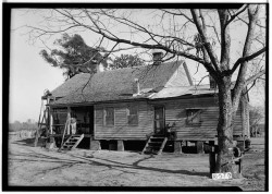 rosa parks house abbeville al