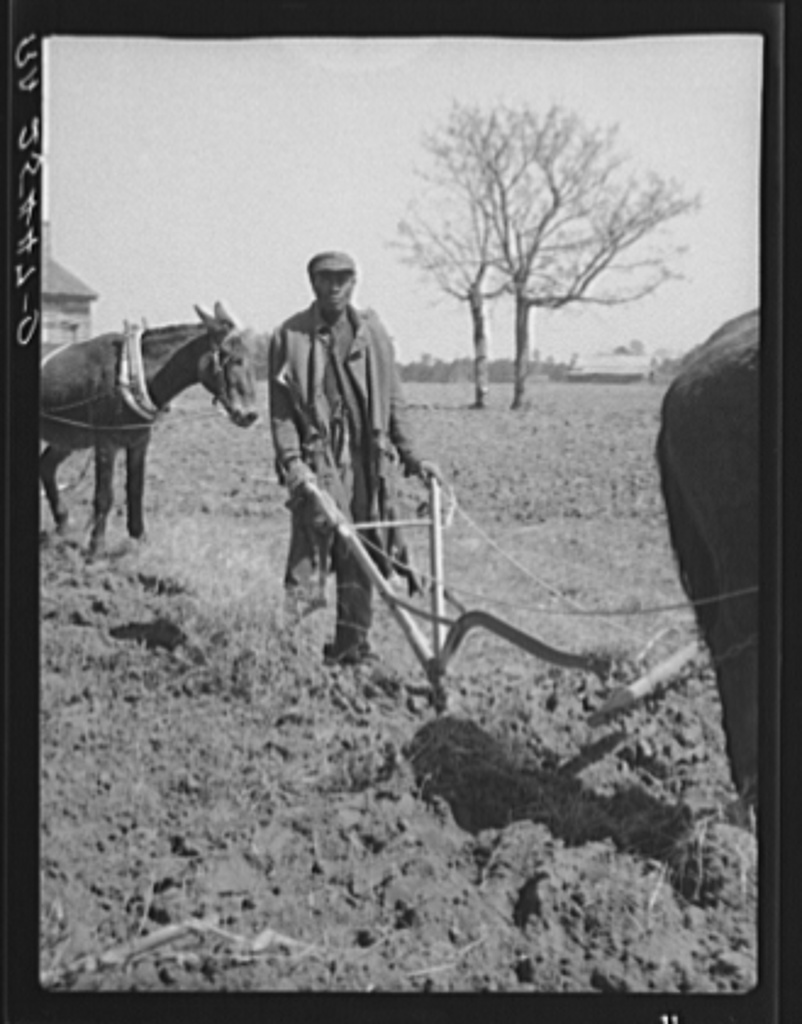 Stunning photographs from 1930s of some sharecropping families in ...